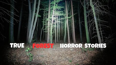3 True Spooky Forest Scary Stories