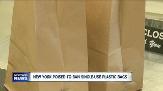 New York to ban single-use plastic bags
