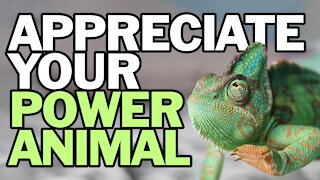 Appreciate Your Power Animal