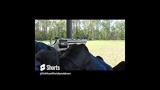50 Yard Shot Hitting the Target with a Large Revolver