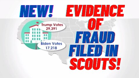 NEW Evidence of Fraud Just Filed in SCOTUS! What REALLY HAPPENED!!!