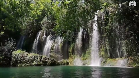 Bástale al discípulo ser como su maestro. (Mateo 10:25) Devocional de hoy Charles Spurgeon