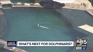 What's next for Dolphinaris?
