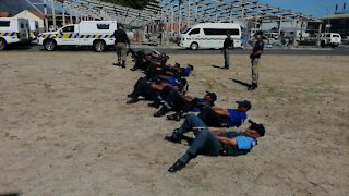 SOUTH AFRICA - Cape Town - Law Enforcement Training Day (Video) (NST)