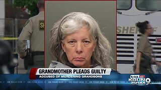 Woman pleads guilty in killings of twin grandsons