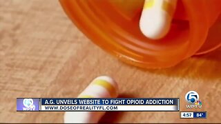 Florida unveils website to combat opioid crisis