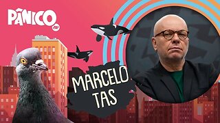 MARCELO TAS - PÂNICO - (REPRISE)