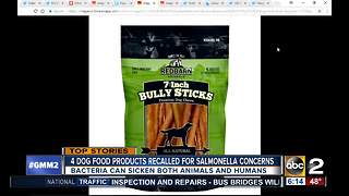 Dog food recalled over salmonella concerns