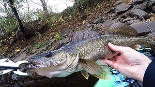 Iowa Fishing | Catch of the Day 10/20/24