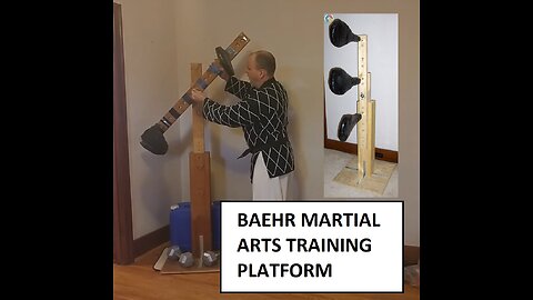 Baehr Martial Arts Training Platform