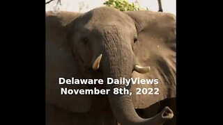 Election Day Evening. Delaware DailyViews: November 8th, 2022