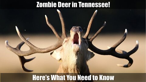 Zombie Deer in Tennessee! Here’s What You Need to Know