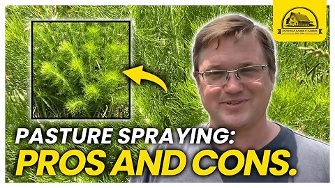 The Economics of Spraying Our Pastures with Herbicide
