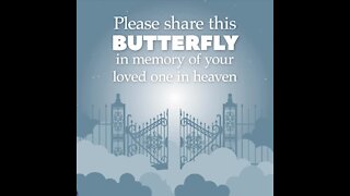 Please share this butterfly [GMG Originals]