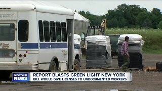 Report blasts Green Light New York