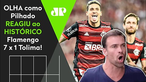 "7 A 1 HISTÓRICOOOO!" OLHA as REAÇÕES do Pilhado ao INCRÍVEL Flamengo x Tolima!