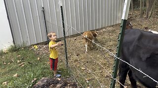 Boy & A Spider 🕷️ChamberlinFamilyFarms #spider #countryboy #homestead