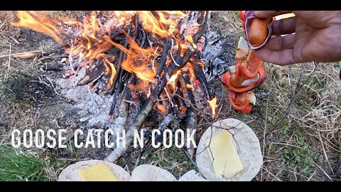 VLOG 226 Goose catch and Cook - Camping, jetboating Dart River Hunting, father and son mission