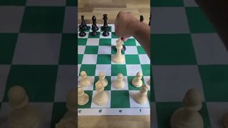 Why Do Chess Players Put The Kings In The Middle At The End Of The Game?