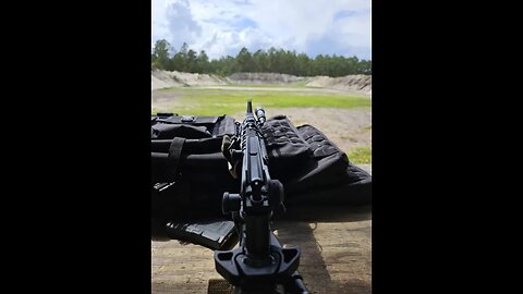 BCM 20 Gov't URG: The M16A4 we have at home