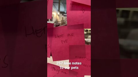 257 love notes to our pets ❤️🐾 #art #pets #zoomies #dogs #cats #appreciation #love