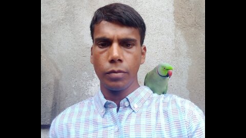 My parrot give me something to me. My lovely parrot..