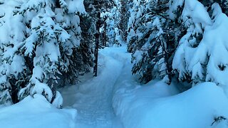 Silent Winter 4K Hiking in the Crispy N' Snappy Snow! | Swampy Lakes Sno-Park | Central Oregon