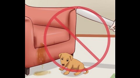 How to train your dog or puppy