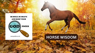 GOD FOCUS QUICK THOUGHTS --HORSE WISDOM