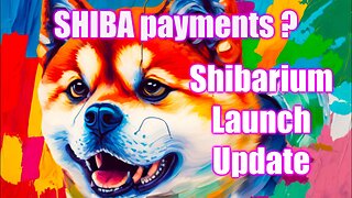 Shibarium Launch News And Shib Payments For 40 Countries And NFT Marketplaces