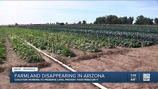 Farmland disappearing in Arizona