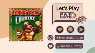 Donkey Kong Country part 4