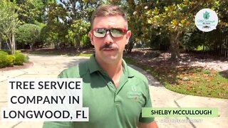 Professional Tree Service in Longwood, FL | Orlando Tree Company