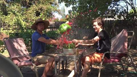 Watermelon Explodes In Slow Motion