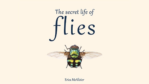 The Secret Life of Flies