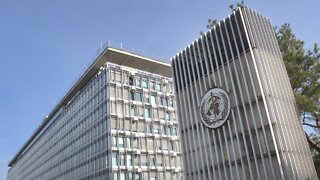 World Health Assembly Convenes Online Monday