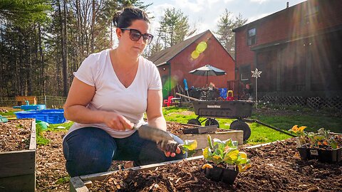 Getting A Raised Bed Ready For Spring Planting!