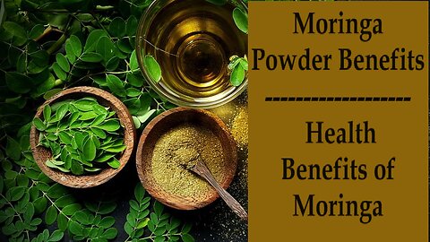 Moringa Powder Benefits | Health Benefits of Moringa