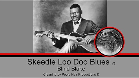 Skeedle Loo Doo Blues, by Blind Blake