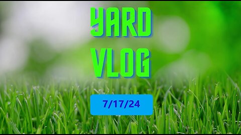 Yard Vlog 7/17/24