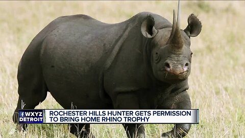 US to allow Michigan trophy hunter to import body of rare black rhino