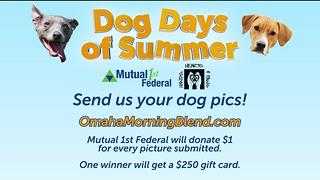 Dog Days of Summer Contest