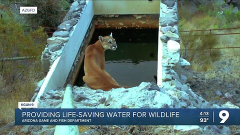 The task of providing drinking water for Arizona wildlife