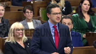 Pierre Poilievre Destroys Marco Over Hunting Guns Ban