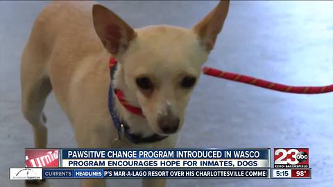 Marley's Mutts spreading Pawsitive Change program to Wasco State Prison