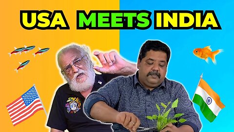 Father Fish and Mayur Dev discuss the Tropical Fish Hobby