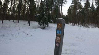 Snowshoeing the Lion Mountain Trail in Whitefish, Montana