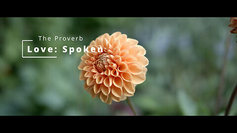Love: Spoken Ep. 1 "The Proverb"