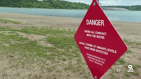 Don't swim in Harsha Lake at East Fork State Park — seriously