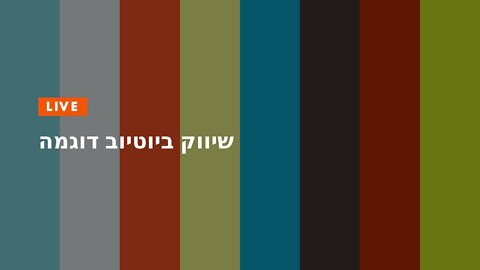 שיווק ביוטיוב דוגמה